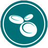 natur-tanya-vegan-b-vitamin-komplex-ikon-verkepzes.jpg