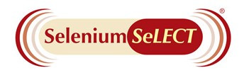 seliniumselect.jpg