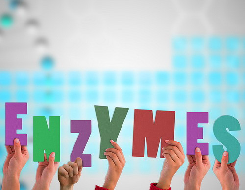 emésztés enzim tabletta