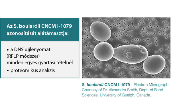 Saccharomyces cerevisiae var. boulardii CNCM I-1079 törzs  