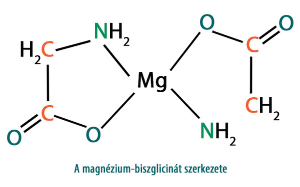 Magas biohasznosulású szerves magnézium, a család minden tagjának! Magnézium-biszglicinát biohasznosulás