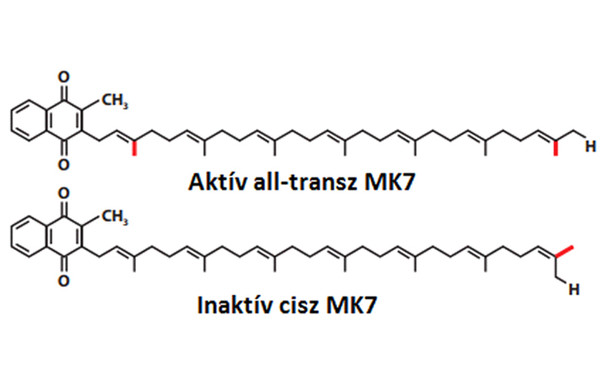 K2-vitamin (MK7) bacillus subtilis natto fermentációjából, >99% all-transz K-vitamin tartalommal!
