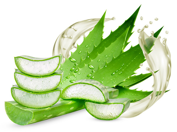 Natur Tanya aloe vera ital natur, magas acemannán tartalom