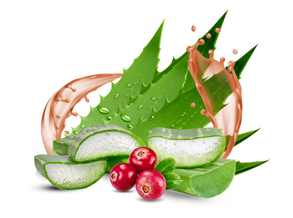 Natur Tanya aloe vera ital, magas acemannán tartalom