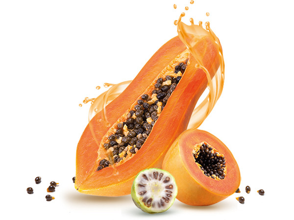 Natur Tanya Fermentált Papaya koncentrátum