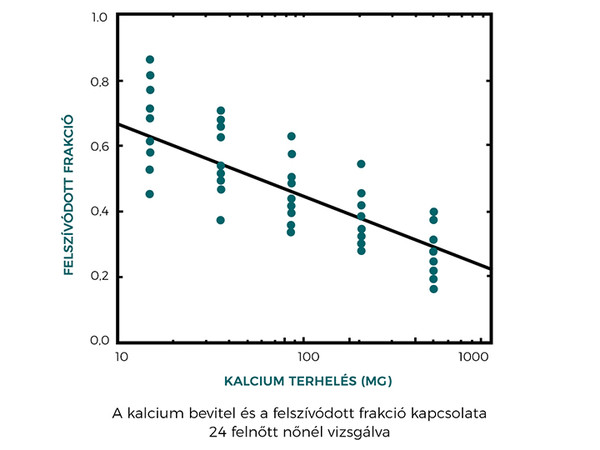 A kalcium felszívódása függ a kalcium adagtól, a kisebb kalcium adag jobb