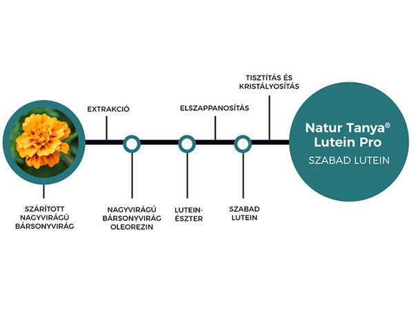 Szabad lutein előállítás a Lutein Pro szemvitaminban  