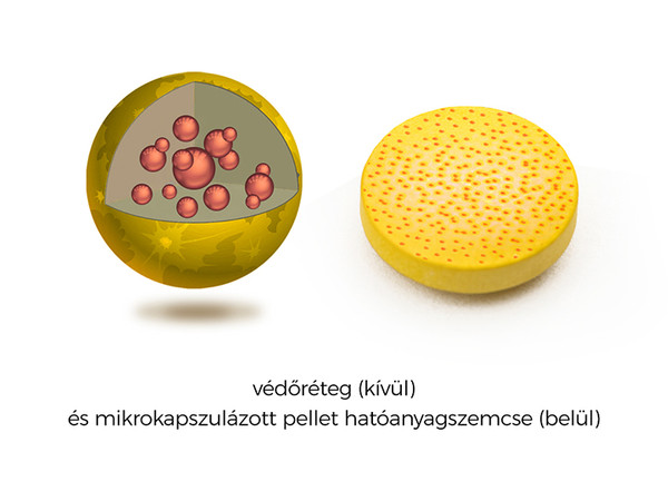 A lutein mikrokapszulázást a piros pöttyök jelzik a tablettán Szabad lutein mikrokapszulázás a Lutein Pro szemvitaminban