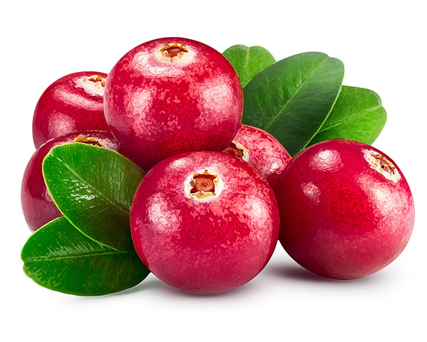 Natur Tanya® Szerves Tőzegáfonya koncentrátum