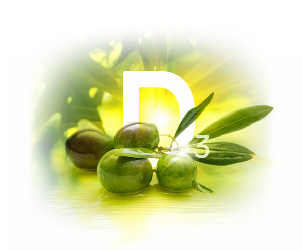 Natur Tanya® OLIVA D3-vitamin 4000 NE QUALI®-D D3-VITAMIN