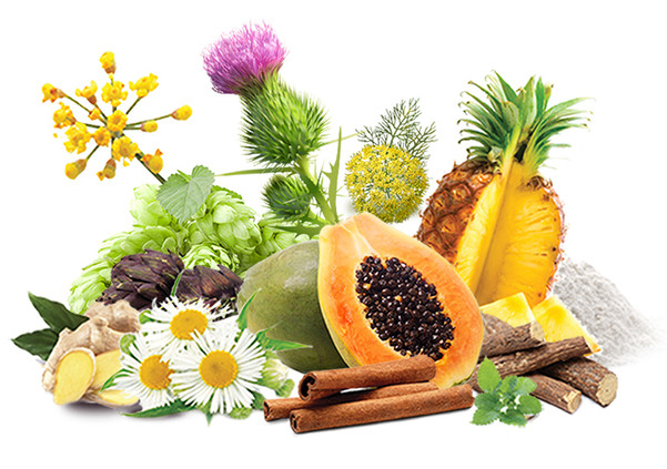 Natur Tanya® LIPO+ lapos has koncentrátum
