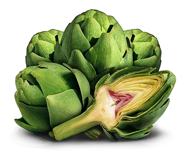 VEGÁN ARTICSÓKA – Standardizált kivonat