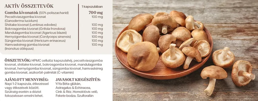 YiYa 7-Gomba komplex immunerősítő gyógygomba kapszula tabletta összetétel